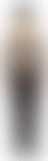 Ini Gambar Seragam Satpam Baru, Warnanya Cokelat Mirip Polisi