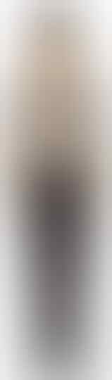 Ini Gambar Seragam Satpam Baru, Warnanya Cokelat Mirip Polisi