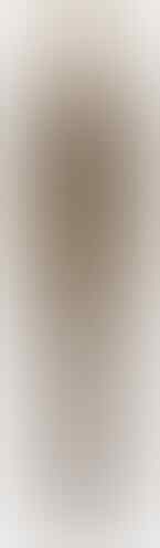 Ini Gambar Seragam Satpam Baru, Warnanya Cokelat Mirip Polisi