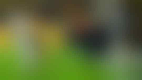PREDIKSI BORUSSIA DORTMUND VS BORUSSIA M'GLADBACH