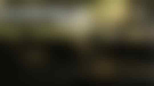 Elisabeth Putri di Lumpur Belgia dan Pelatihan Militer