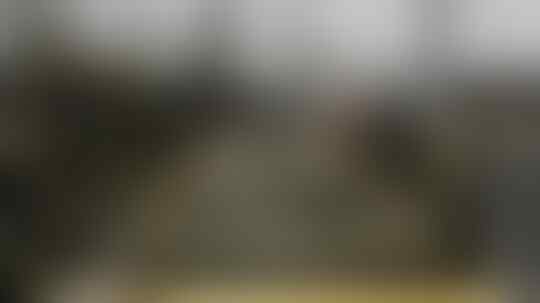 Elisabeth Putri di Lumpur Belgia dan Pelatihan Militer