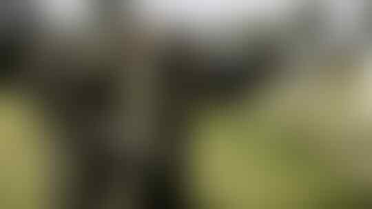 Elisabeth Putri di Lumpur Belgia dan Pelatihan Militer