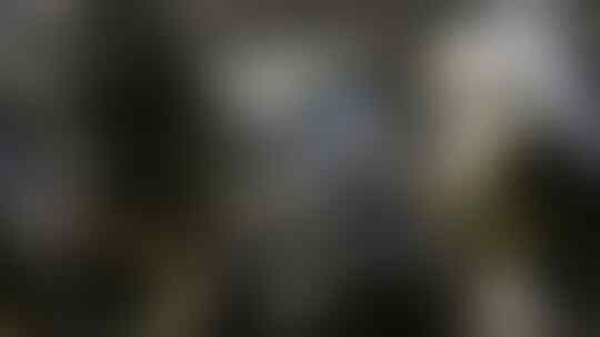 Elisabeth Putri di Lumpur Belgia dan Pelatihan Militer