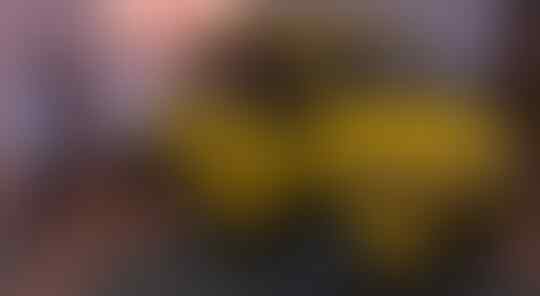 Yuk Kenalan Ama Mahesa, Mobil Bumble Bee Buatan Asli Indonesia