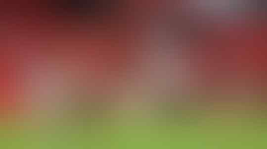 Bisa Bangkit, Man United?