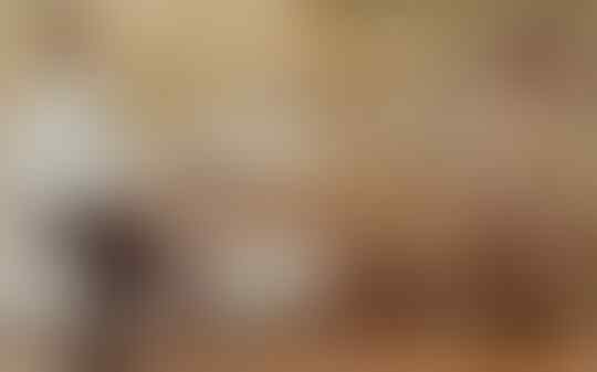 Prabowo Subianto Tanam Singkong, Menhan Apa Mentan Sih?