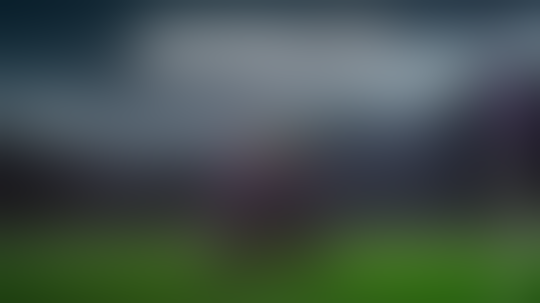 Football Manager 2021 ~Choose your colors!~