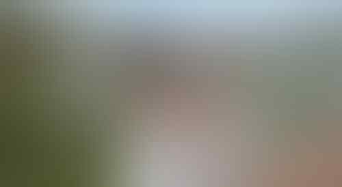 Unik bin Aneh, 15 Foto Gaun Pengantin Ini Bikin Geleng-Geleng Kepala