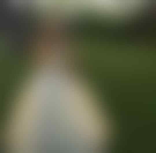 Unik bin Aneh, 15 Foto Gaun Pengantin Ini Bikin Geleng-Geleng Kepala