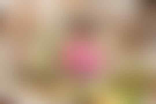 Melihat Kembali Deretan Acara Jadul Indosiar Berkualitas Sebelum Jadi Ku Menangis