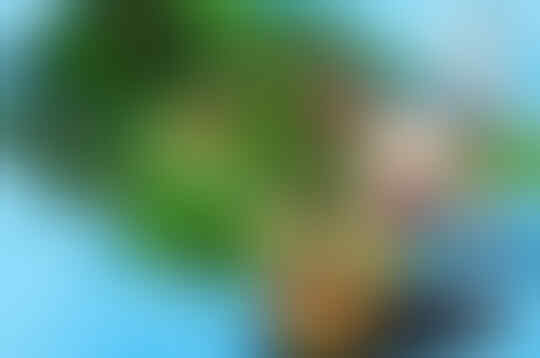 9 Fakta dan Nostalgia Game Harvest Moon Bikin Kamu Kangen