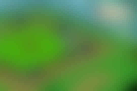 9 Fakta dan Nostalgia Game Harvest Moon Bikin Kamu Kangen
