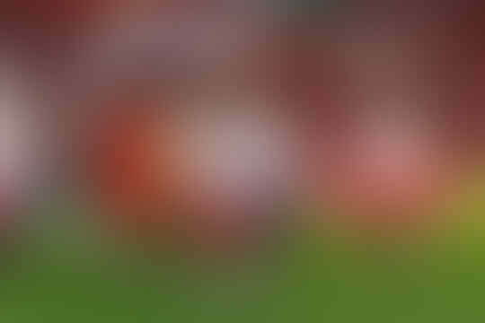 Mengenang Piala Dunia 2002, Dari Ronaldo Kuncung Sampai Kekalahan Italia dari Korsel