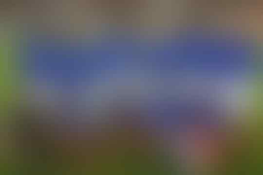 Mengenang Piala Dunia 2002, Dari Ronaldo Kuncung Sampai Kekalahan Italia dari Korsel