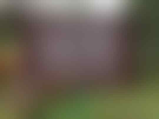 Sampah, Jangan Diabaikan simak manfaat dan dampaknya