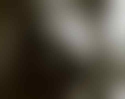 5 Band Black Metal dari Norwegia Penganut Satanisme