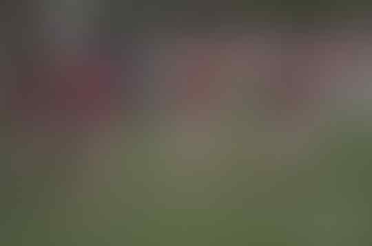 Kualitas Performa Timnas U-19 Belum Mentok, Sekarang Masih di Level 70 Persen