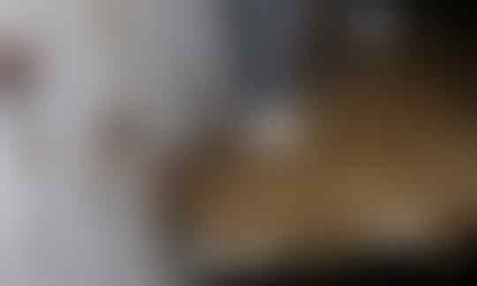 Peternakan Kecoa di China Ini Dibuat Untuk Konsumsi Manusia