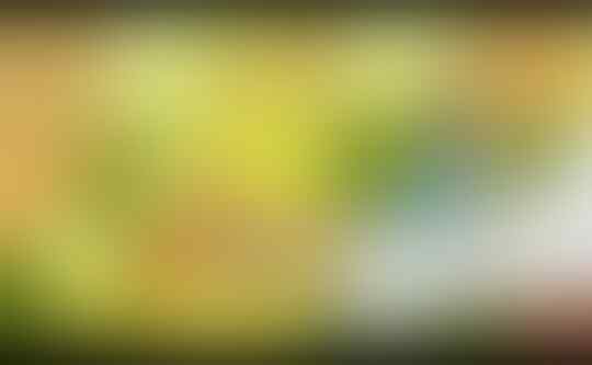 5 Hal yang Bisa Mempertahankan Keluarga Dari Pelakor dan Pebinor
