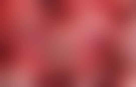 Cara Cerdas Sistem Imunitas Tubuh Berperang Melawan Virus Corona