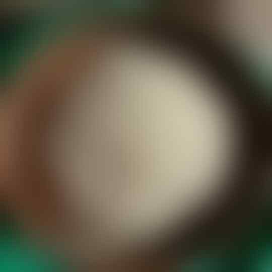 Beberapa Tanaman Yang Menjadi Bahan Baku Olahan Dage Lezat, Nomor 4 Paling Unik!