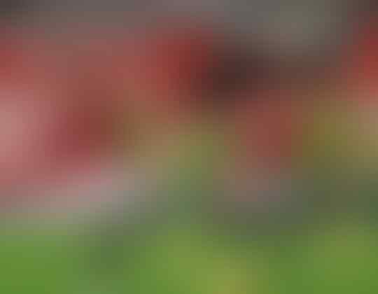 Akhirnya, Old Trafford Milik Manchester United Lagi... dan Lewat Penalti