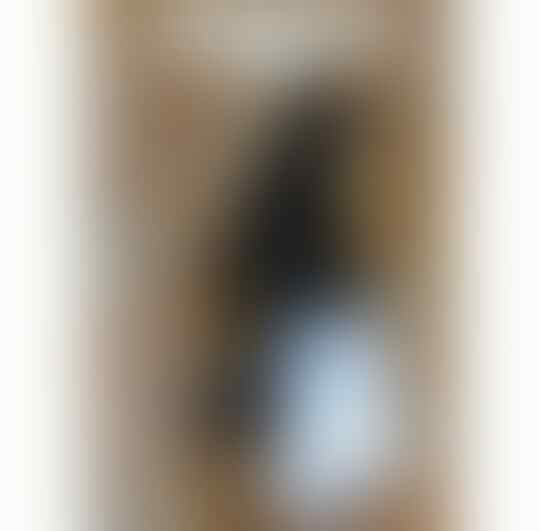 Alami Diare, Kucing ini Dipakaikan Pampers Hingga Berjalan Seperti Anak Baru Disunat!