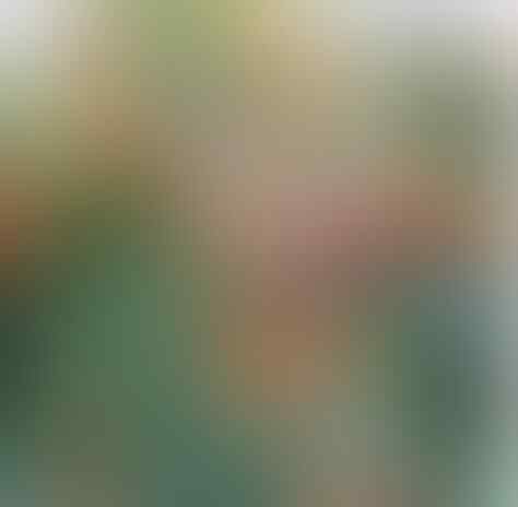 Alternatif Tanaman Sayur Penghias Pekarangan Sempit, Bakal Hemat Belanja Nih!