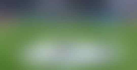 Starball, Logo UEFA Champions League
