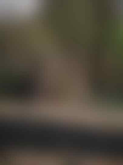 Desa Paling Angker dan Berhantu di Dunia, No 4 Paling Seram Hantunya!