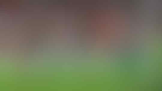 Rekor Kandang Southampton atau Catatan Tandang Man United yang Bakal Tercoreng?