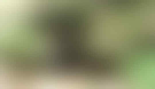 Misteri Gunung Peyek dan Goa Segara Kahuripan