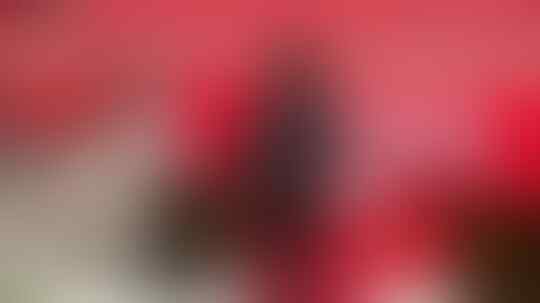 Bagus Kahfi Gagal ke Klub Belanda, PSSI Angkat Bicara