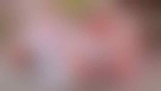 Keluarga Ini 'VIRAL' Karena Terobsesi Warna MERAH Dan PUTIH !
