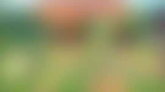 Big Farm Story, Game Pertanian Yang Bisa Kalian Nikmati Kapan Saja