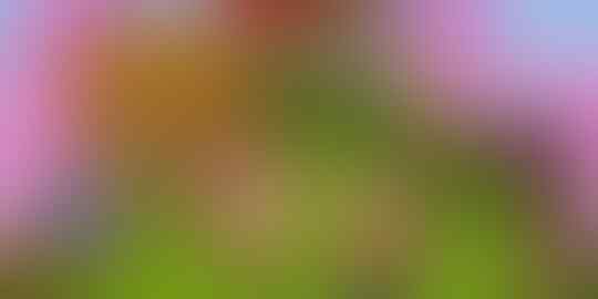 10 Game Nintendo DS Terseru dan Asyik Untuk Agan Mainkan Kembali
