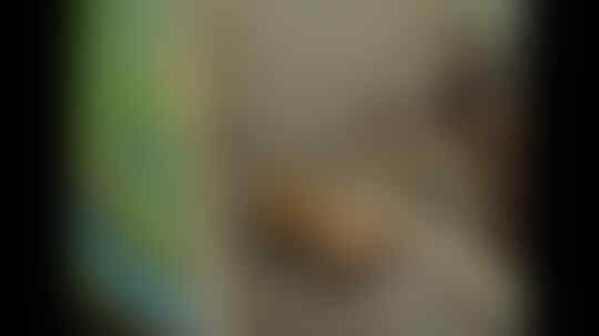 Seketika Hiperaktif Setelah Dilintasi Orbs, Apa Yang Sebenarnya Mereka Lihat..??