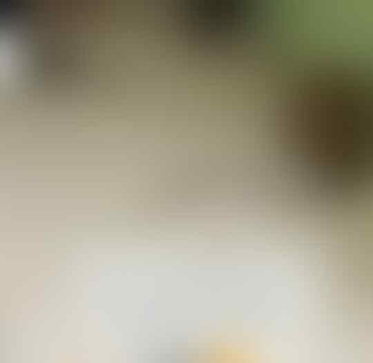 Musim Hujan Banyak Ular Keluyuran? Berikut Trik Menangkapnya Ketika Ia Masuk Rumah