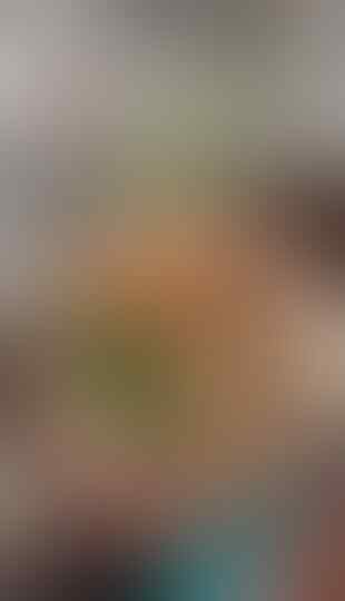 Bule di Yogyakarta Jualan Mie Ayam, Harga Seporsinya Rp 7 Ribu!
