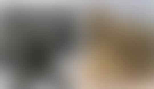 Australia Lewat! Militer Indonesia Adalah yang Terkuat di Kawasan Ini