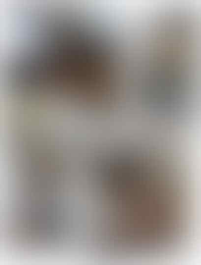 Kucing Cokelat Ini Galau Menentukan Rasnya: Siam, Burma, atau Snowshoe?