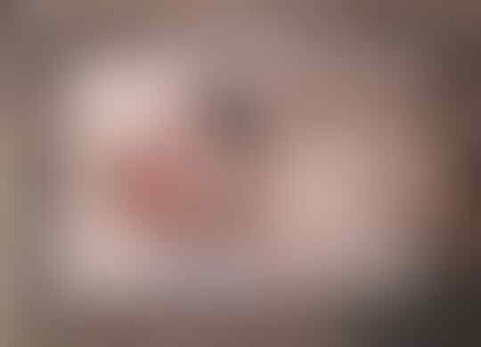 Jadi Dokter Hewan Dadakan, Saat Si Kucing Melahirkan Tengah Malam