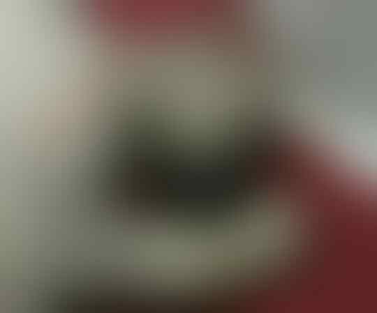 Jadi Dokter Hewan Dadakan, Saat Si Kucing Melahirkan Tengah Malam