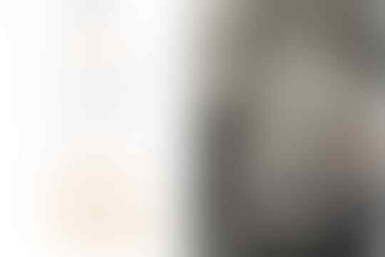 Panduan mengambil foto dan upload shutterstock dengan smartphone, "Approved"