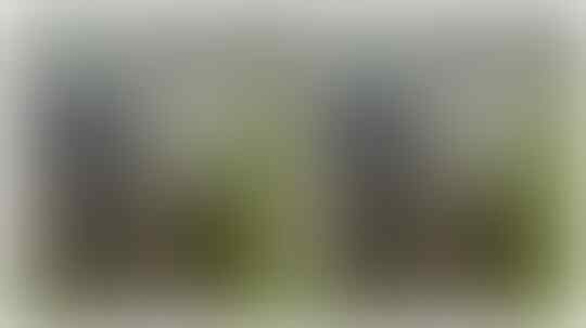 Diduga Mesum di Gubuk Sawah, Pasangan SMP Ini Digerebek Warga, Orangtua Dipanggil