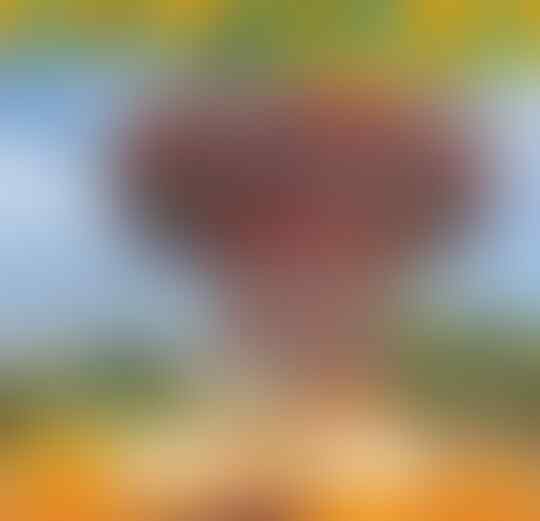 Ingin Merayakan Romantisme Imlek di Kalimantan Barat? Tanjung Bajau Tempatnya!