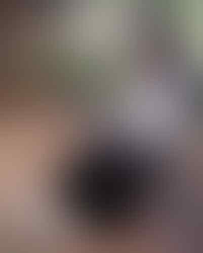 Inilah Foto Ririe Fairus. Suaminya yang Dikabarkan Selingkuh dengan Nissa Sabyan