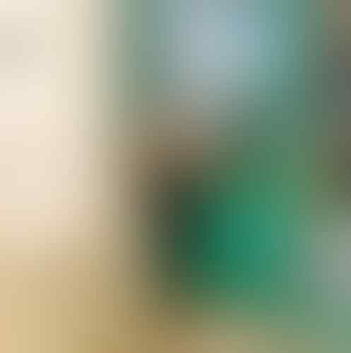 Inilah Foto Ririe Fairus. Suaminya yang Dikabarkan Selingkuh dengan Nissa Sabyan