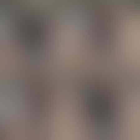 Inilah Foto Ririe Fairus. Suaminya yang Dikabarkan Selingkuh dengan Nissa Sabyan